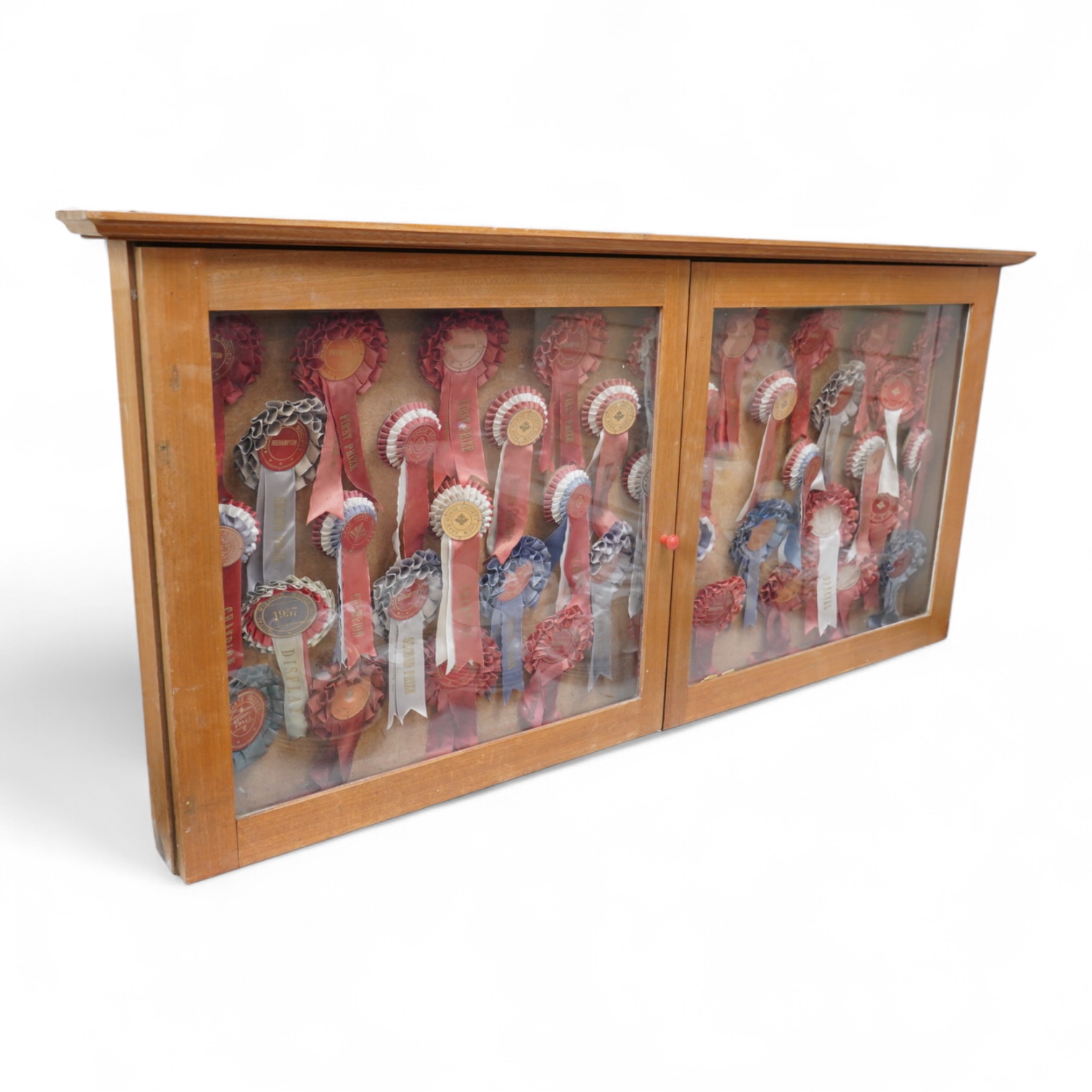 A light oak glazed two door wall cabinet, mounted with 39 Arab Horse Society rosettes, as won by horses from the Court House Farm Stud, Offham, Sussex, the cabinet 61 x 130cms